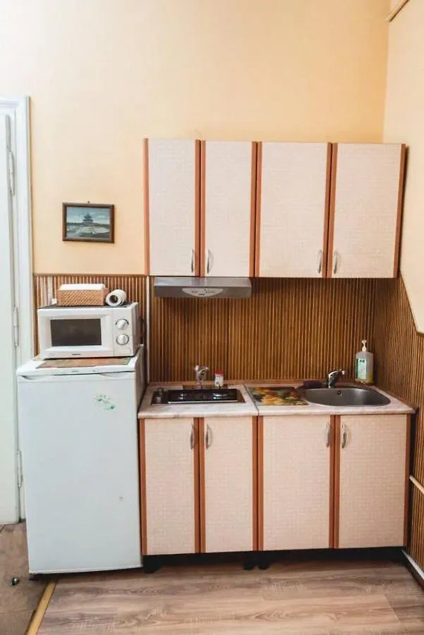 Apartment Veronica In Center Lviv